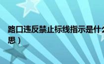 路口违反禁止标线指示是什么意思（禁止标线指示是什么意思）