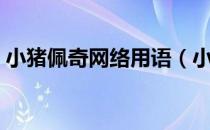 小猪佩奇网络用语（小猪佩奇什么意思网络）