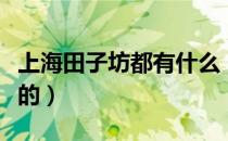 上海田子坊都有什么（上海田子坊有什么好玩的）