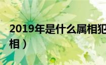 2019年是什么属相犯太岁（2019年是什么属相）