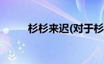 杉杉来迟(对于杉杉来迟简单介绍)