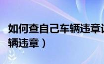 如何查自己车辆违章记录查询（如何查自己车辆违章）