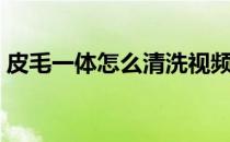 皮毛一体怎么清洗视频（皮毛一体怎么清洗）