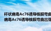 杆状病毒Ac76诱导核膜弯曲出芽的分子机理研究(对于杆状病毒Ac76诱导核膜弯曲出芽的分子机理研究简单介绍)