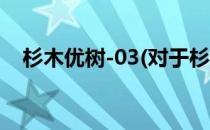 杉木优树-03(对于杉木优树-03简单介绍)