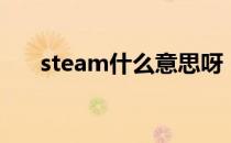 steam什么意思呀（steam什么意思）