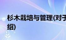 杉木栽培与管理(对于杉木栽培与管理简单介绍)