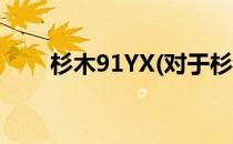 杉木91YX(对于杉木91YX简单介绍)