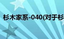 杉木家系-040(对于杉木家系-040简单介绍)