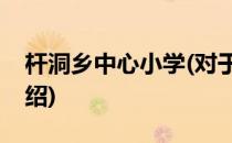 杆洞乡中心小学(对于杆洞乡中心小学简单介绍)