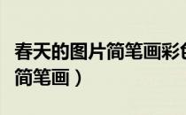 春天的图片简笔画彩色的手抄报（春天的图片简笔画）