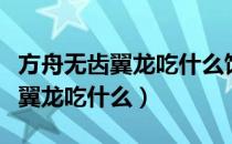 方舟无齿翼龙吃什么饲料怎么驯服（方舟无齿翼龙吃什么）