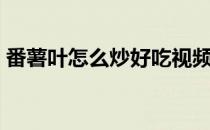 番薯叶怎么炒好吃视频（番薯叶怎么炒好吃）