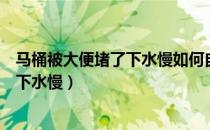 马桶被大便堵了下水慢如何自己快速疏通（马桶被大便堵了下水慢）