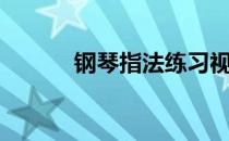 钢琴指法练习视频（钢琴指法）