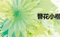 簪花小楷（簪花）