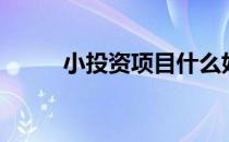 小投资项目什么好（小投资项目）
