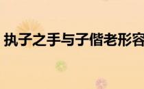 执子之手与子偕老形容什么感情（执子之手）