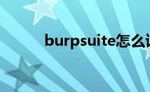 burpsuite怎么读（burpsuite）