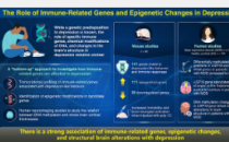 三育大学研究人员发现抑郁症的分子途径