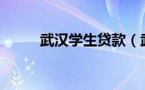 武汉学生贷款（武汉首例校园贷）