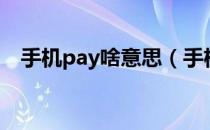 手机pay啥意思（手机pay是什么意思啊）