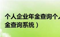 个人企业年金查询个人账户查询（个人企业年金查询系统）