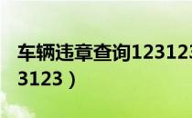 车辆违章查询123123缴费（车辆违章查询123123）