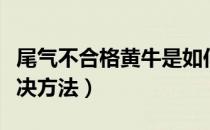 尾气不合格黄牛是如何解决的（尾气不合格解决方法）