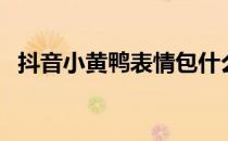 抖音小黄鸭表情包什么意思（抖音小黄鸭）