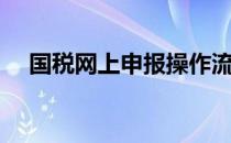 国税网上申报操作流程（国税网上申报）