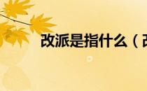 改派是指什么（改派是什么意思）
