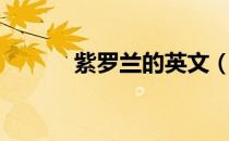 紫罗兰的英文（紫罗兰的花语）
