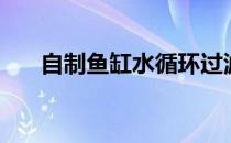自制鱼缸水循环过滤系统（自制鱼缸）