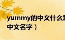 yummy的中文什么意思（yummy什么意思中文名字）