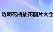 透明花瓶插花图片大全（花瓶插花图片大全）
