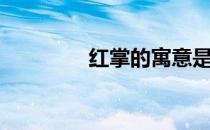 红掌的寓意是什么（红掌）