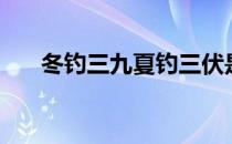 冬钓三九夏钓三伏是什么意思（冬钓）