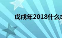 戊戌年2018什么命（戊戌年2018）