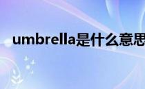 umbrella是什么意思（right是什么意思）