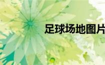足球场地图片（足球场地）