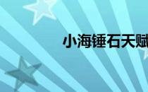 小海锤石天赋（锤石天赋）