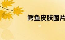 鳄鱼皮肤图片（鳄鱼皮肤）