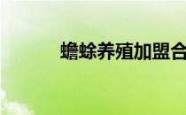 蟾蜍养殖加盟合作（蟾蜍养殖）
