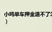 小鸣单车押金退不了怎么办（小鸣单车退押金）