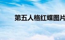 第五人格红蝶图片（第五人格红蝶）