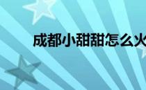 成都小甜甜怎么火的（成都小甜甜）