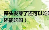 蒜头发芽了还可以吃吗会不会中毒（蒜头发芽还能吃吗）