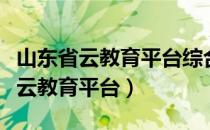 山东省云教育平台综合素质评价系统（山东省云教育平台）