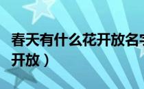 春天有什么花开放名字和颜色（春天有什么花开放）